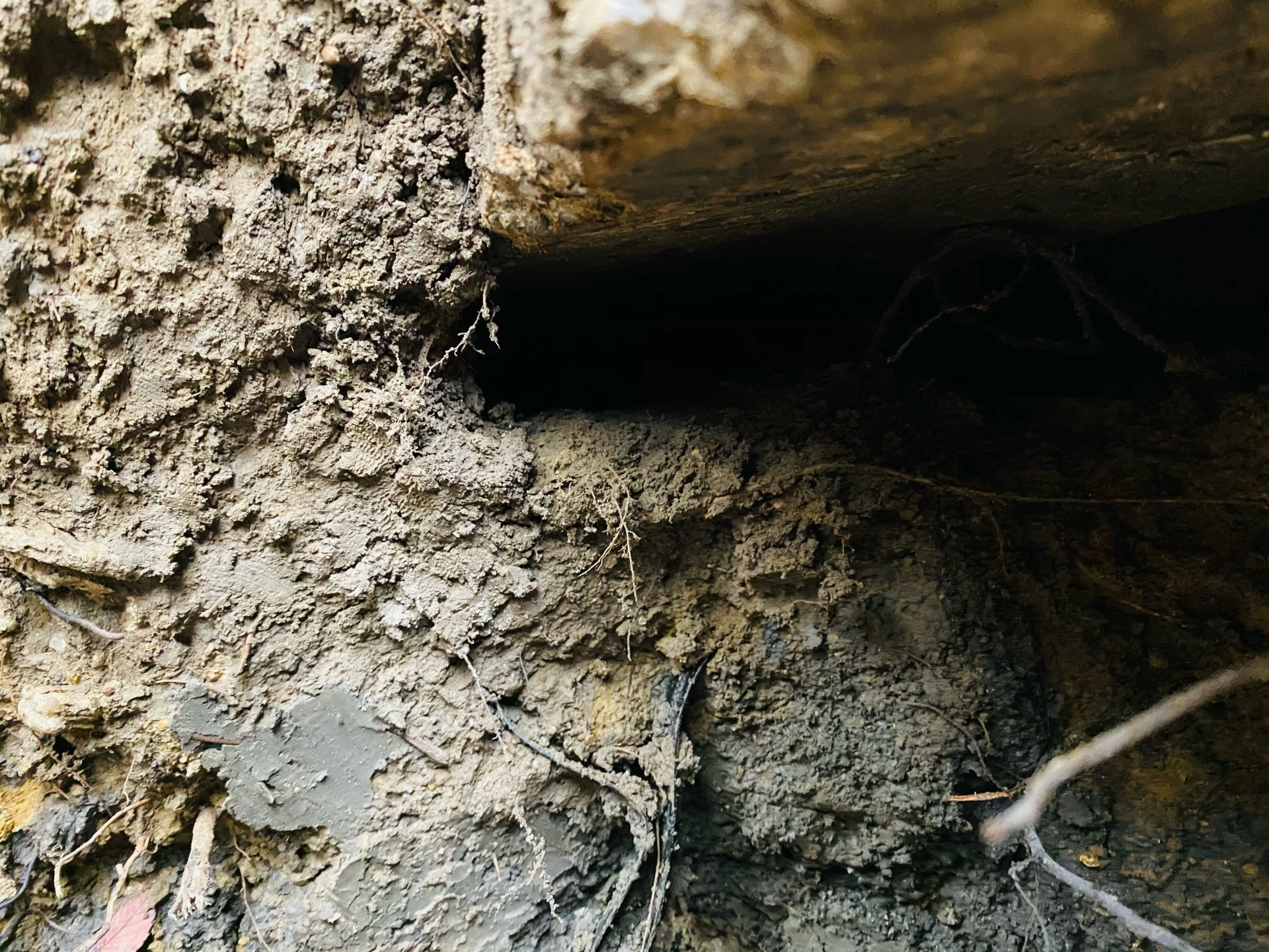 Warning Signs of Foundation Issues