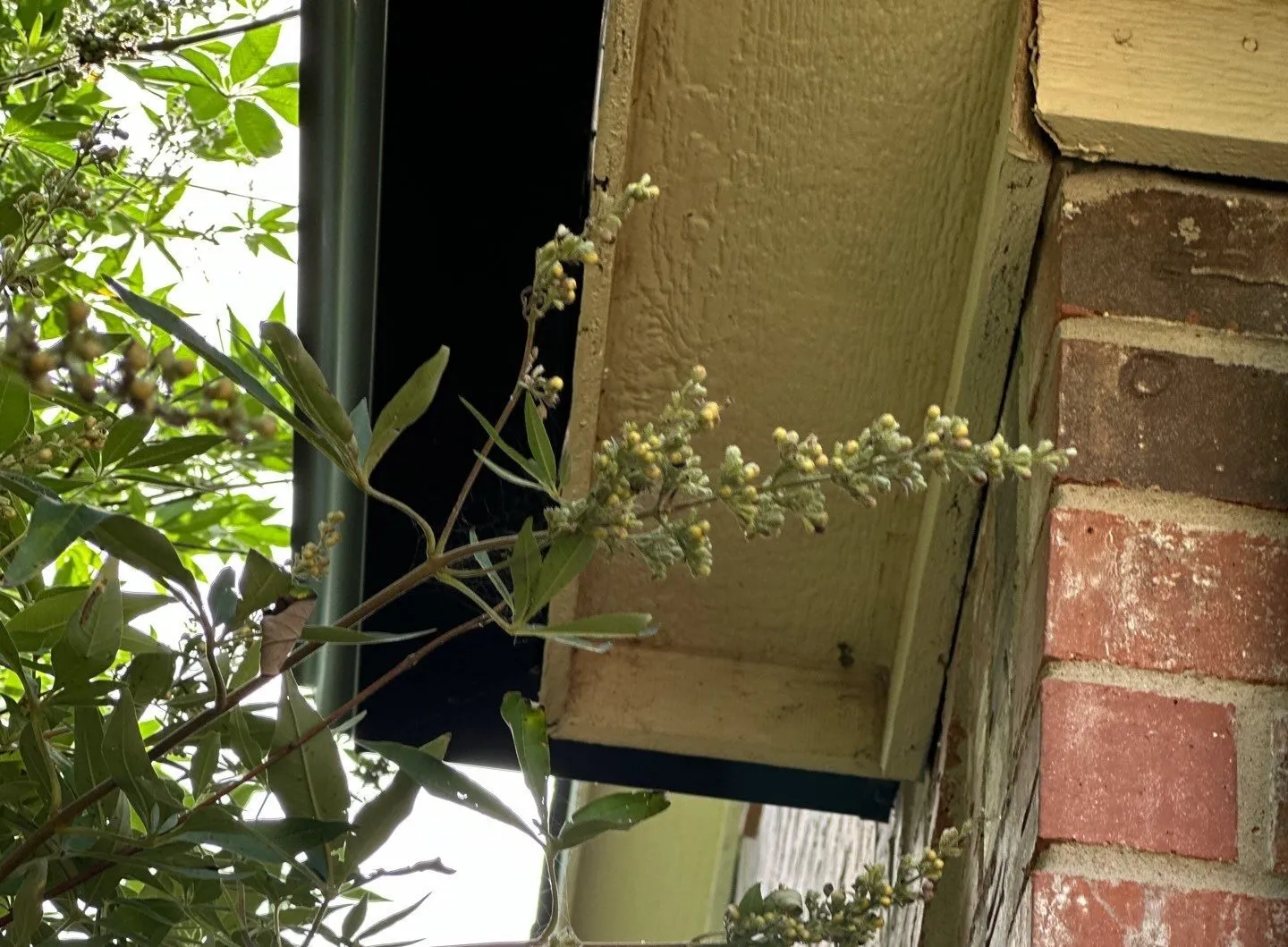 Frieze Board Separation in Rockwall Texas