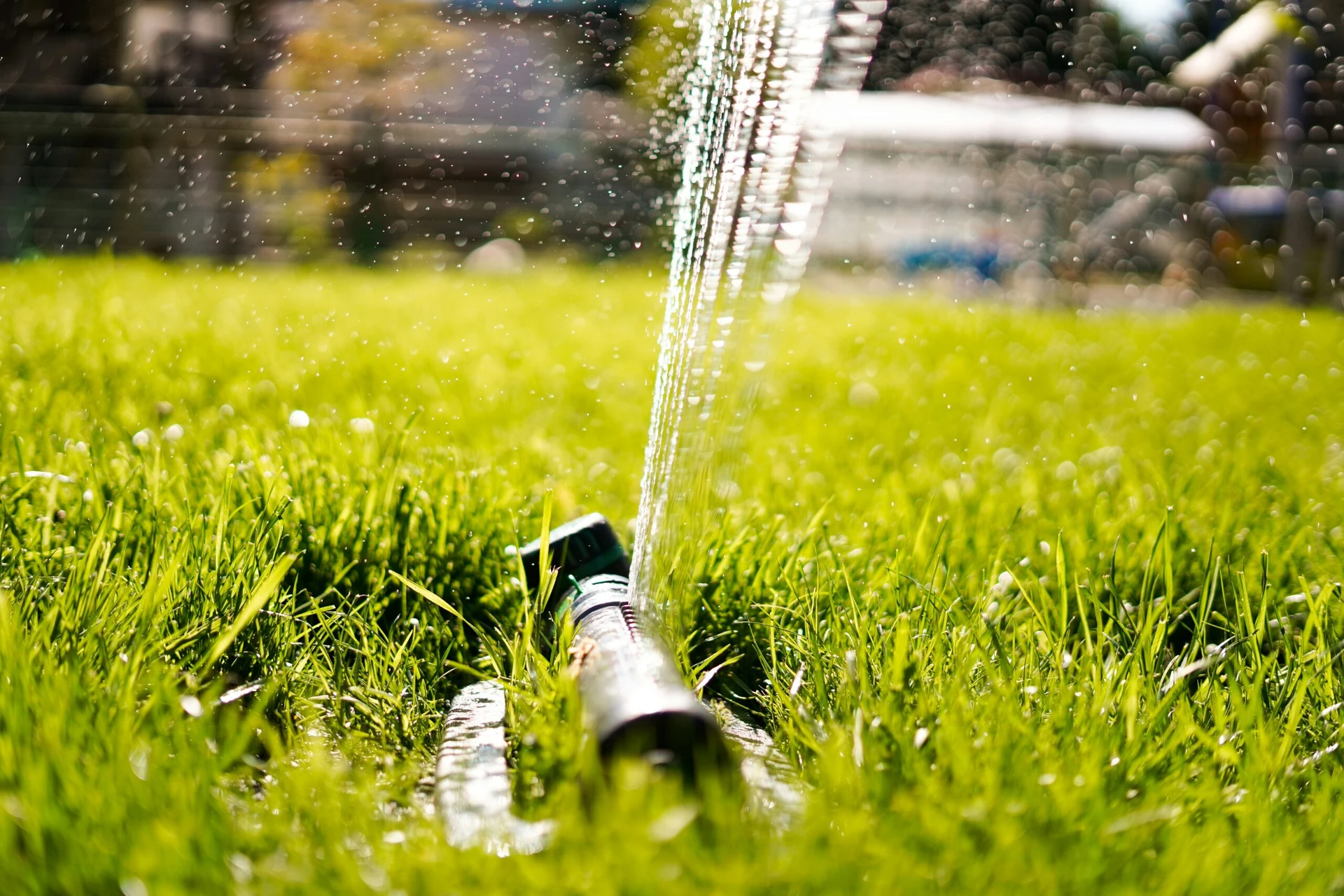 Foundation Watering: A DIY Approach to Preventing Foundation Issues